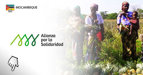 Recrutamento Fundação Alianza por la Solidaridad Moçambique Alianza por la Solidaridad Moçambique