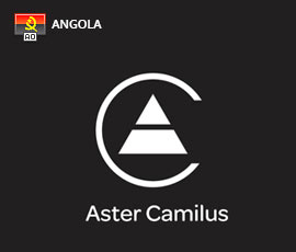 Aster Camilus Angola