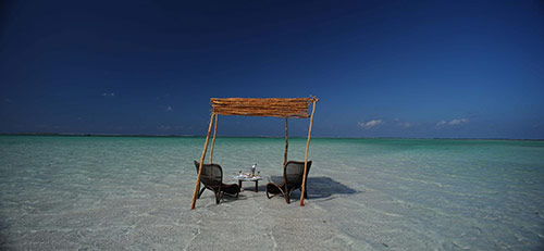 Coral Lodge Newmark Hotels