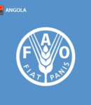 FAO Angola