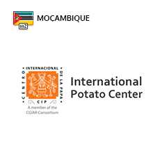 International Potato Center Moçambique
