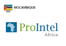 ProIntel Africa Moçambique