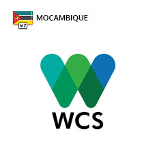 WCS Moçambique